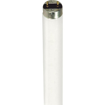 32 Watt; T8; Fluorescent; 4100K Cool White; Medium Bi Pin base; TF Shatter Proof (27|S7633)