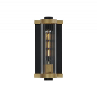 Opulent-Outdoor Wall Mount (19|16120CRBKAB)