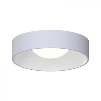 22'' LED Surface Mount (107|3738.18)