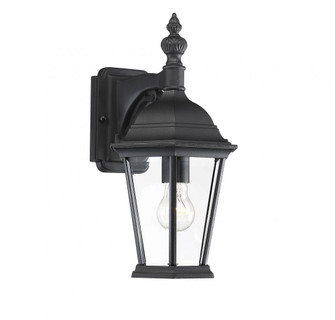 1-Light Outdoor Wall Lantern in Black (8483|M50062BK)