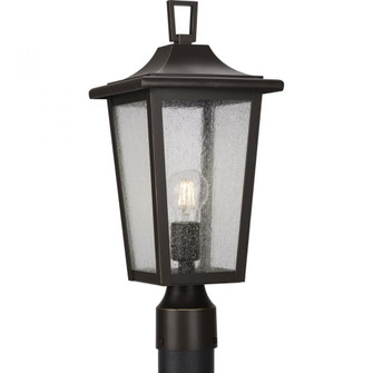 P540093-020 1-100W MED POST LANTERN (149|P540093-020)