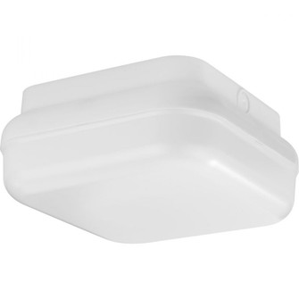 Hard Nox Collection White 10'' Square Flush Mount Light (149|P550115-028-30)