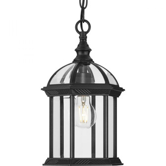 Dillard Collection One-Light Traditional Textured Black Clear Glass Outdoor Hanging Light (149|P550122-031)