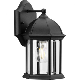 Dillard Collection One-Light Traditional Textured Black Clear Glass Outdoor Wall Lantern (149|P560321-031)