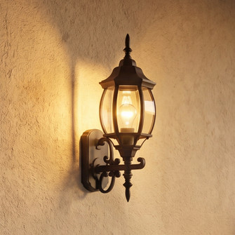 1-Light Outdoor Wall Lantern in Black (8483|M50054BK)