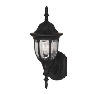 1-Light Outdoor Wall Lantern in Black (8483|M50057BK)