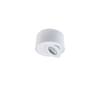 I SPY 5IN OUTDOOR FLUSH MOUNT 3CCT 4000K (3612|FM-W44205-40-WT)