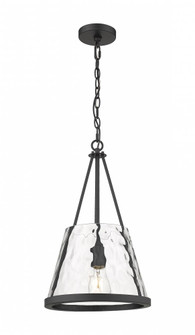 Lux - 1 Light - 12 inch - Matte Black - Chain Hung - Mini Pendant (3442|383-1S-BK-G384D-12CL)