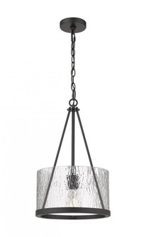 Marissa - 1 Light - 12 inch - Matte Black - Chain Hung - Mini Pendant (3442|383-1S-BK-G383B-12CL)