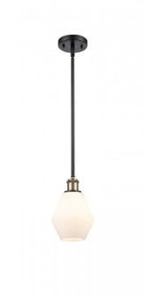 Cindyrella - 1 Light - 6 inch - Black Antique Brass - Mini Pendant (3442|516-1S-BAB-G651-6)