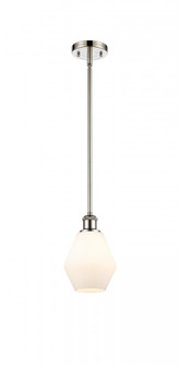 Cindyrella - 1 Light - 6 inch - Polished Nickel - Mini Pendant (3442|516-1S-PN-G651-6)