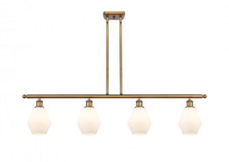 Cindyrella - 4 Light - 48 inch - Brushed Brass - Stem hung - Island Light (3442|516-4I-BB-G651-6)