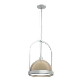 Atlas Small Pendant (65|187462-SKT-MULT-82-84)