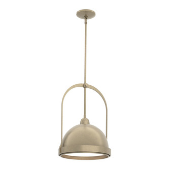 Atlas Small Pendant (65|187462-SKT-MULT-84-84)
