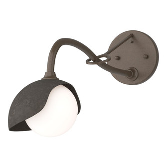 Brooklyn 1-Light Single Shade Long-Arm Sconce (65|201376-SKT-05-07-GG0711)