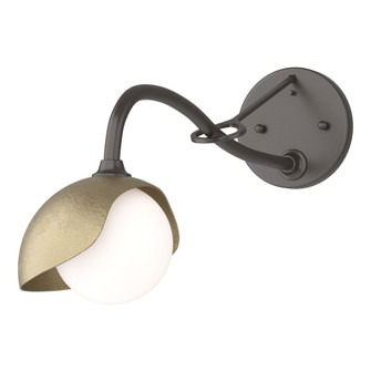 Brooklyn 1-Light Single Shade Long-Arm Sconce (65|201376-SKT-14-84-GG0711)
