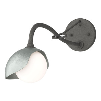 Brooklyn 1-Light Single Shade Long-Arm Sconce (65|201376-SKT-20-82-GG0711)