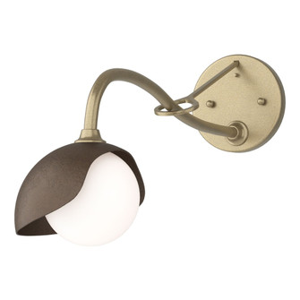 Brooklyn 1-Light Single Shade Long-Arm Sconce (65|201376-SKT-84-05-GG0711)