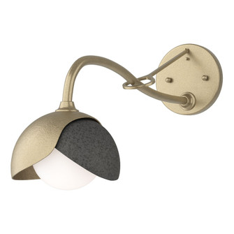 Brooklyn 1-Light Double Shade Long-Arm Sconce (65|201377-SKT-84-20-GG0711)