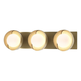 Brooklyn 3-Light Straight Double Shade Bath Sconce (65|201378-SKT-86-86-GG0711)