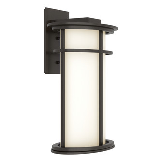 Province Large Outdoor Sconce (65|305655-SKT-14-GG0387)