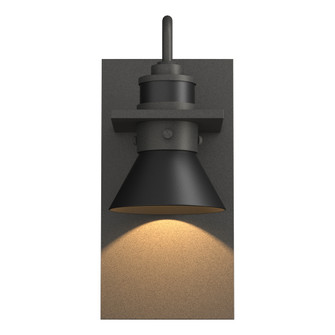 Erlenmeyer Dark Sky Friendly Outdoor Sconce (65|307716-SKT-20-80)