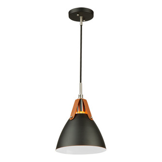 Tote 1 Light Pendant Black (12|SC13321BK)
