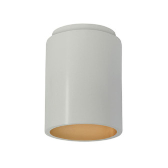 Cylinder Flush-Mount (Outdoor) (254|CER-6100W-MTGD)