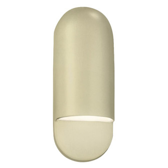 Small ADA Capsule Outdoor LED Wall Sconce (254|CER-5620W-VAN-LED1-1000)