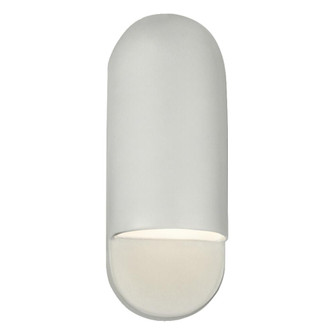 Small ADA Capsule Outdoor LED Wall Sconce (254|CER-5620W-MAT-LED1-1000)