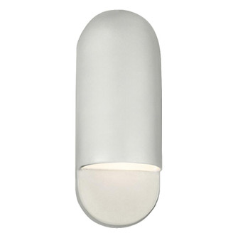 Small ADA Capsule Outdoor LED Wall Sconce (254|CER-5620W-BIS-LED1-1000)