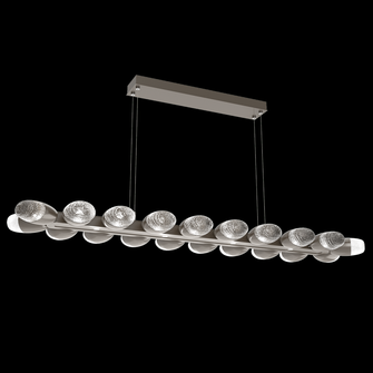 Pebble Linear - 60-Inch (1289|PLB0079-60-GP-PC-CA1-L1)