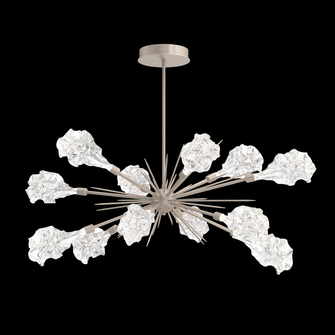 Blossom Oval Starburst (1289|PLB0059-0A-BS-BC-001-L3)