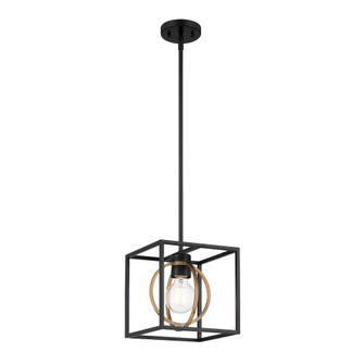 1 Light Pendant convertible (21|D276M-8P-MB)