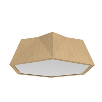 Physalis Accord Ceiling Mounted 5063 LED (9485|5063LED.34)