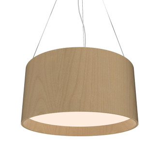 Cylindrical Accord Pendant 202 LED (9485|202LED.34)