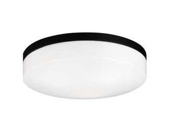 Xenon Black Ceiling Mount (3605|M13003BK)