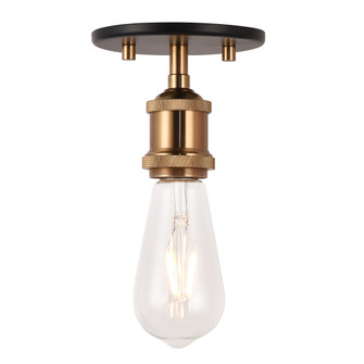 Flush Mounts (3605|X46100AG)