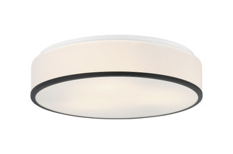 Echo Flush Mounts (3605|M15803MB)