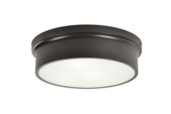 Ciotola Flush Mounts (3605|M12802BZ)