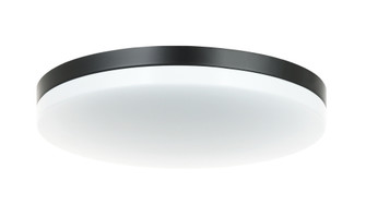 Orion Flush Mounts (3605|M12002BK)