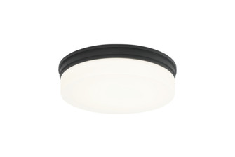 CIRCIAN Flush Mounts (3605|M10901MB)