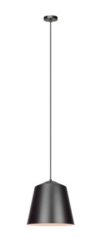 Encase Pendant (3605|C64002BZ)