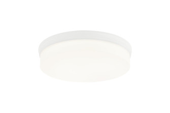 CIRCIAN Flush Mounts (3605|M10902MW)