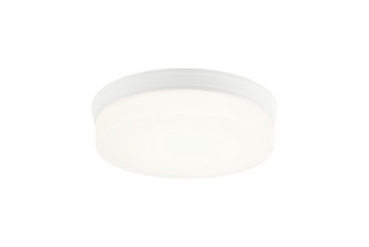 CIRCIAN Flush Mounts (3605|M10901MW)
