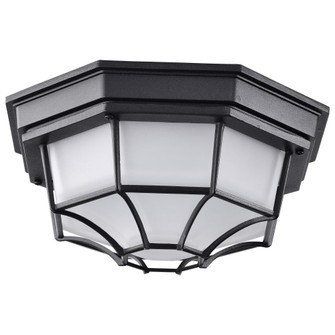 LED Spider Cage Fixture; Black Finish with Frosted Glass (81|62/1400)
