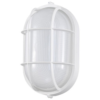 LED Oval Bulk Head Fixture; White Finish with White Glass (81|62/1390)