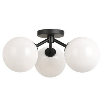 Novo Flush Mounts (3605|X81703BKOP)