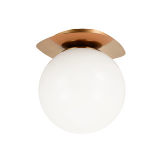 Razz Flush Mounts (3605|X15711AGOP)