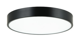 Plato Flush Mounts (3605|M13702BK)